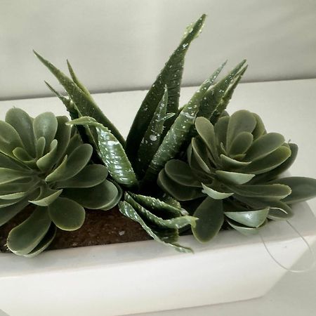 Apartament Laura Z Ogrodkiem 凯尔采 外观 照片