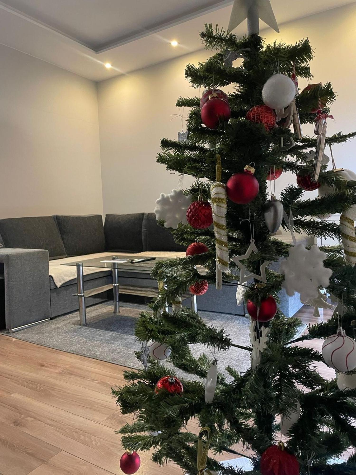 Apartament Laura Z Ogrodkiem 凯尔采 外观 照片